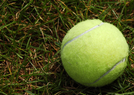 tennis ball